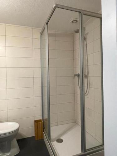 a bathroom with a shower and a toilet at Cozy Central Apartment in Trier