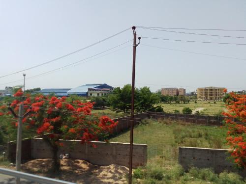 uma vista para um campo com uma árvore com flores vermelhas em Guru guest house bodhgaya em Gaya