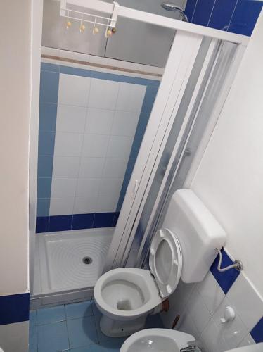 y baño pequeño con aseo y ducha. en Casa Giannina en Palermo