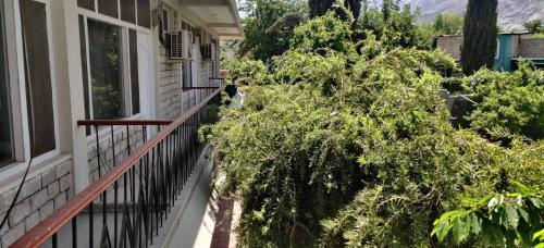 a balcony of a house with a tree at Kallisto Hotel in Gilgit