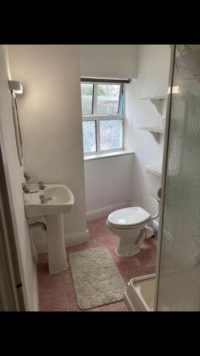 uma casa de banho branca com um WC e um lavatório em Surf kinsale em Kinsale