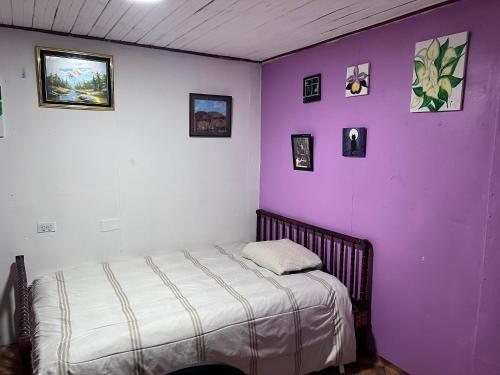 Cama ou camas em um quarto em Comfy Private Room - Costa Rica