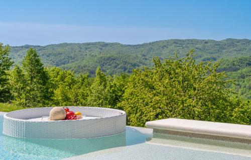 a bowl of fruit sitting in a hot tub on the edge at Villa Green Forest with wellness and heated salty pool in Hum