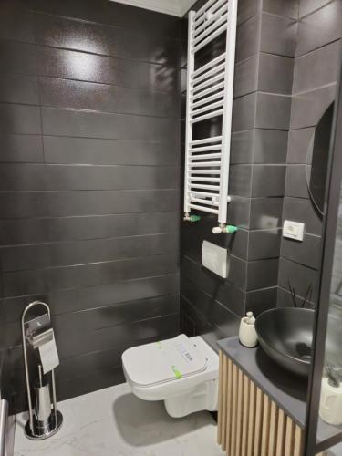 德羅貝塔－塞維林堡的住宿－Bizi House Accommodation 2，一间带卫生间和水槽的浴室