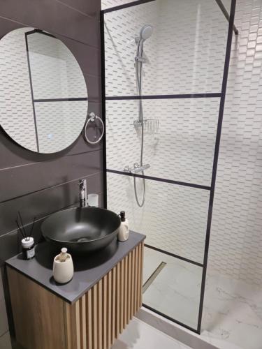 y baño con lavabo y ducha. en Bizi House Accommodation 2, en Drobeta-Turnu Severin