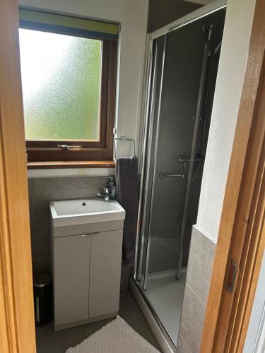 La petite salle de bains est pourvue d'un lavabo et d'une douche. dans l'établissement Drumlin View Cabin 21c Deerpark Road, à Ardkeen