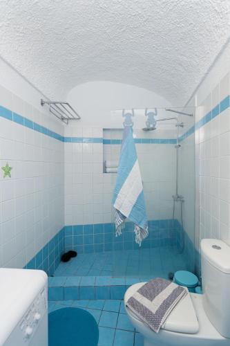a blue and white bathroom with a toilet and a shower at Aggelikis Traditional Cave House in Mesaria