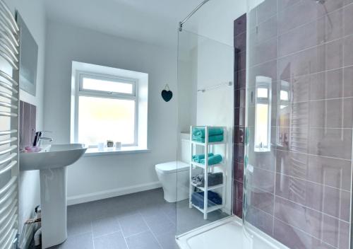 凱珀爾克里格的住宿－Carreg Cottage，带淋浴、盥洗盆和卫生间的浴室