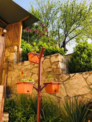 Ein Garten an der Unterkunft Guest House Anahit Ijevan
