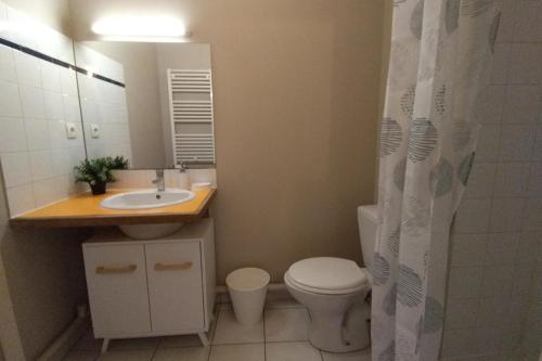 Charming studio in Avignon