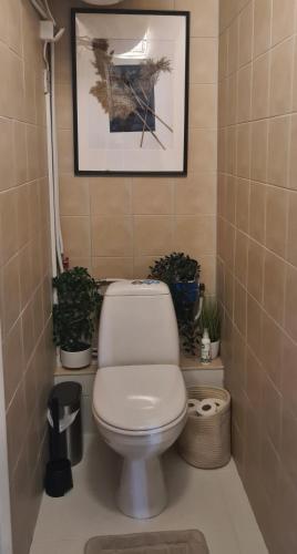 a bathroom with a toilet and potted plants at Viscosa Holiday Apartment in Kõrgessaare