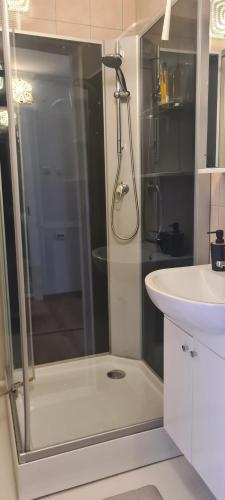 La salle de bains est pourvue d'une douche et d'un lavabo. dans l'établissement Viscosa Holiday Apartment, à Kõrgessaare