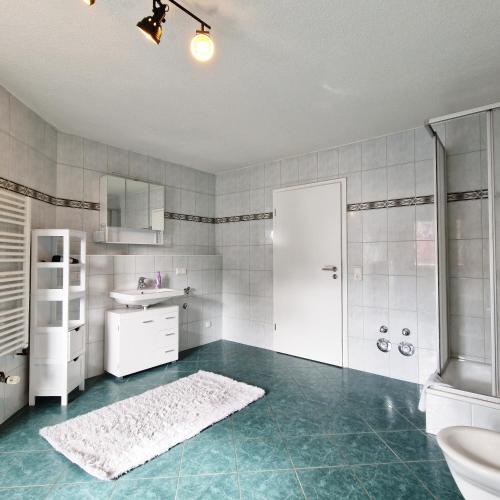 a bathroom with a shower and a sink and a toilet at DM Hotels & Apartments - Apartment Dosborn 2A in Dingelstädt