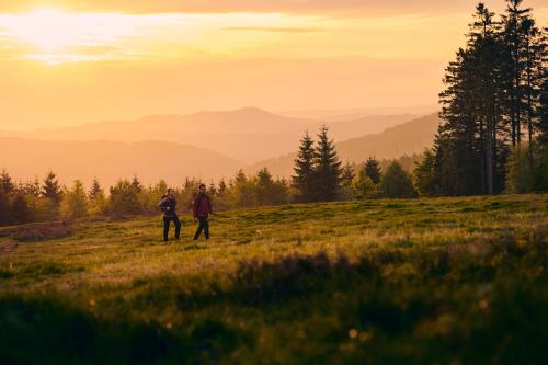 two people walking on a hill in a field at Schlosshotel Brilon-Wald in Brilon-Wald