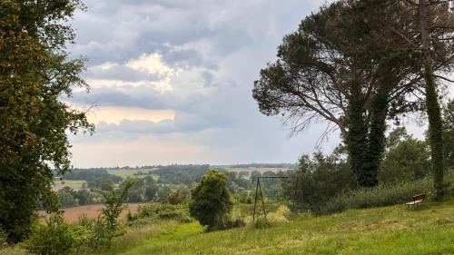 a bench on a grassy hill with a tree at Métairie de Moutiques in Cazaubon