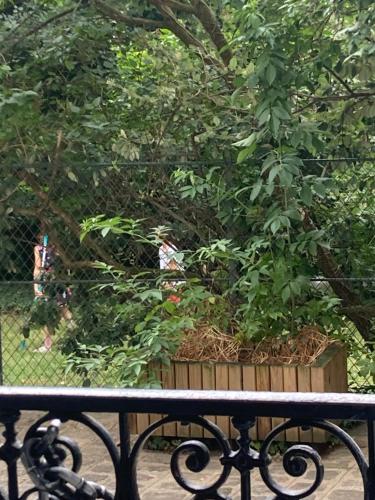 un banc assis devant un grand arbre dans l'établissement Garden Green, à Paris