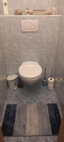 Ένα μπάνιο στο u Míši v Brdech