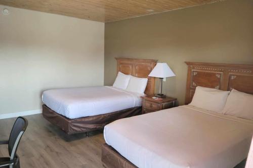 una habitación de hotel con 2 camas y una lámpara en Econo Lodge, en Springerville