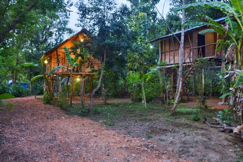 a house in the middle of a forest at Akash Treehouse in Sigiriya