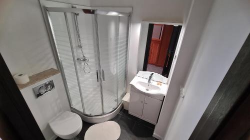 a bathroom with a shower and a toilet and a sink at Willa Koral in Jastrzębia Góra