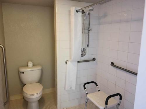 a bathroom with a toilet and a shower at Econo Lodge in Springerville