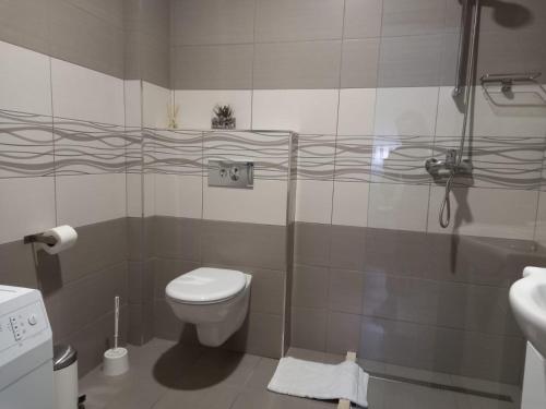 Un baño con inodoro, ducha y lavabo. en Apartman Iva, en Gradac