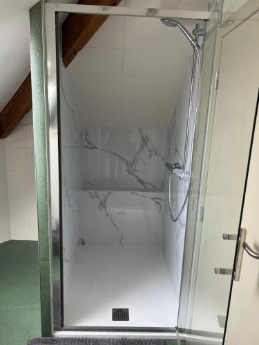 a shower with a glass door in a bathroom at Dame Cerise in Wavre