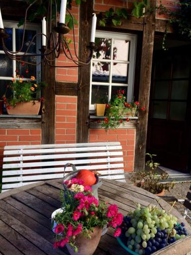 Jardín al aire libre en Romantische Ferienwohnung im historischen Stadtkern Jüterbog