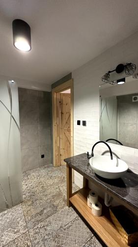 a bathroom with a sink and a mirror at Domki Na Złotym Groniu in Istebna
