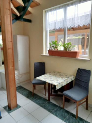 um quarto com uma mesa e duas cadeiras e uma janela em Ferienwohnung Taube 