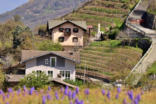 une maison sur le flanc d'une colline avec des fleurs violettes dans l'établissement Lo barbaboc, à Aoste