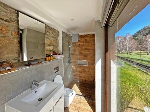 ein Bad mit einem Waschbecken, einem WC und einem Fenster in der Unterkunft Ameisenberg Appartement für Bahnfans in Kurort Oybin