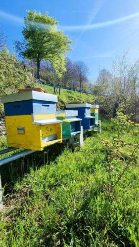 a row of beehives sitting in a field of grass at Bee Freeride Biker house in Magliolo