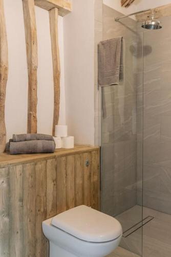 a bathroom with a toilet and a glass shower at 3 Henham Barns in Beccles
