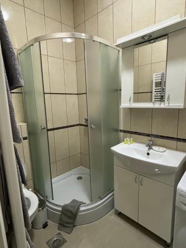 a bathroom with a shower and a sink at Apartmani "MARIJA" Golubac in Golubac