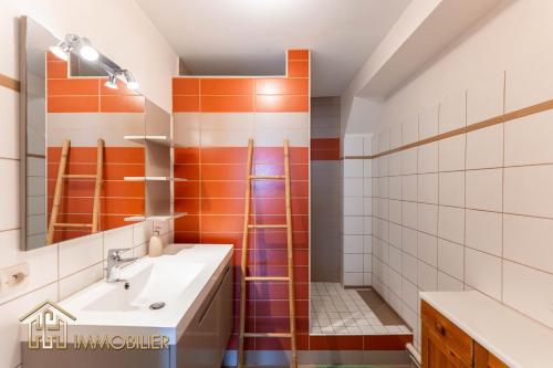 uma casa de banho com um lavatório e um chuveiro em Au Bonheur des Anges Appartement 2 chambres avec terrasse em Colmar