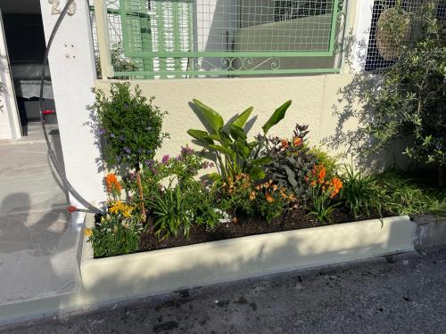 un jardin fleuri devant une fenêtre dans l'établissement Villa fleurie, à Cagnes-sur-Mer