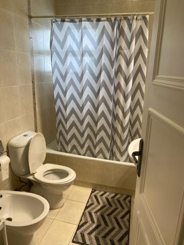 La salle de bains est pourvue de toilettes et d'un rideau de douche. dans l'établissement Kinzo1, à Amman