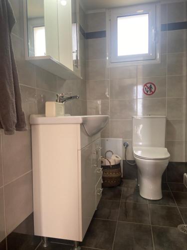 a bathroom with a sink and a toilet at Villa Delfini in Chrani