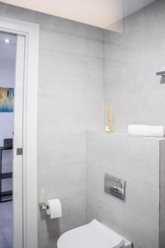 a bathroom with a toilet and a toilet paper dispenser at Gaviotas Beach Golf in Almerimar