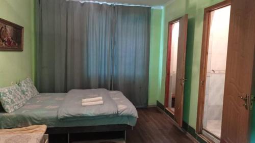 Un dormitorio con una cama con paredes verdes y una ventana en Тимур, en Tokmok