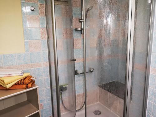 a shower with a glass door in a bathroom at Holiday Home Zerna by Interhome in Bad Muskau
