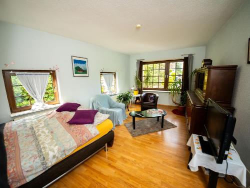 Μια τηλεόραση ή/και κέντρο ψυχαγωγίας στο Apartment Haus Keller by Interhome