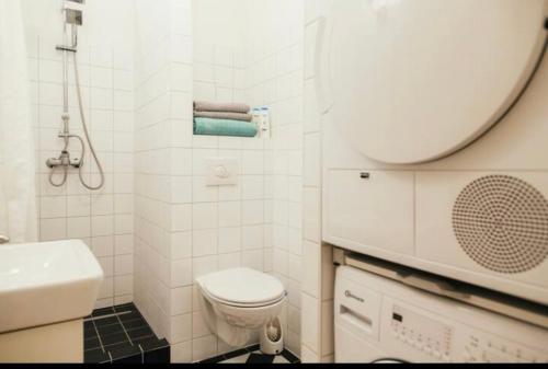 La salle de bains blanche est pourvue de toilettes et d'un lavabo. dans l'établissement cosy apartment in friedrichshaun, à Berlin