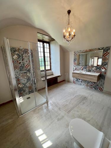 a bathroom with a glass shower and a mirror at Château du Montellier in Le Montellier