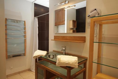 une salle de bain avec un lavabo et un miroir dans l'établissement L'Estaou de Julie- Meublé de Tourisme 4 Étoiles, à Saint-Paul-et-Valmalle