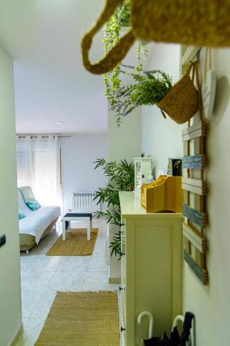 a living room with plants on the walls at Alojamiento La Caseta de Nando in Tortosa