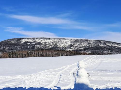 a snowman standing in the snow with a mountain in the background at Apartment Marika 1 by Interhome in Cerny Dul