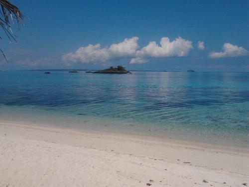 una playa con una isla en el agua en Tepanee Beach Resort, en Isla de Malapascua