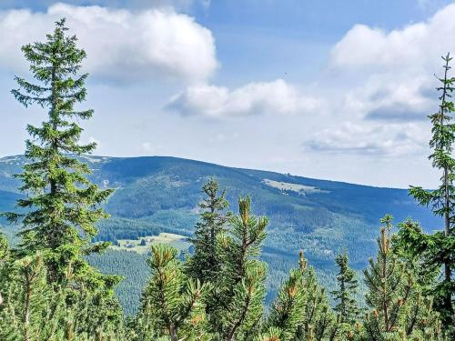 a view of a mountain range with trees in the foreground at Apartment Marika 2 by Interhome in Cerny Dul
